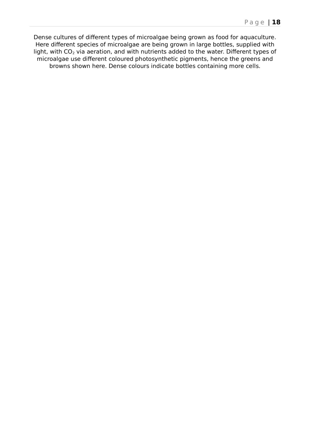 Eutrophication Translation_17