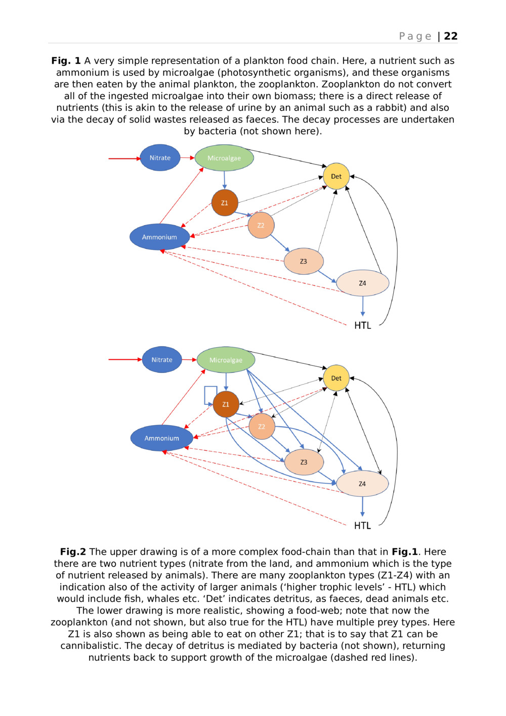 Eutrophication Translation_21