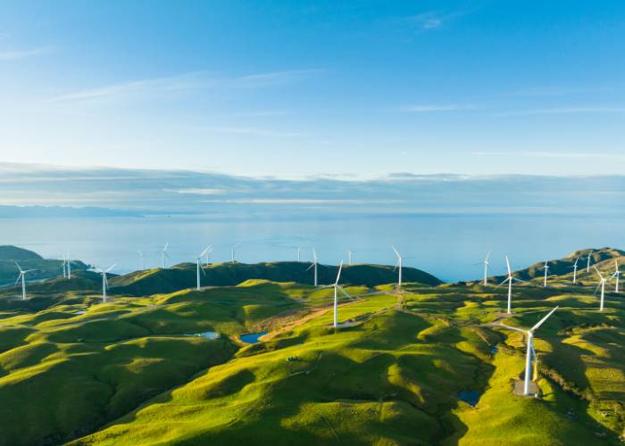 New Eutrophication Bundles