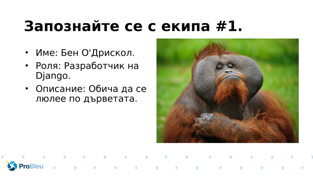 Запознайте се с екипа #1.