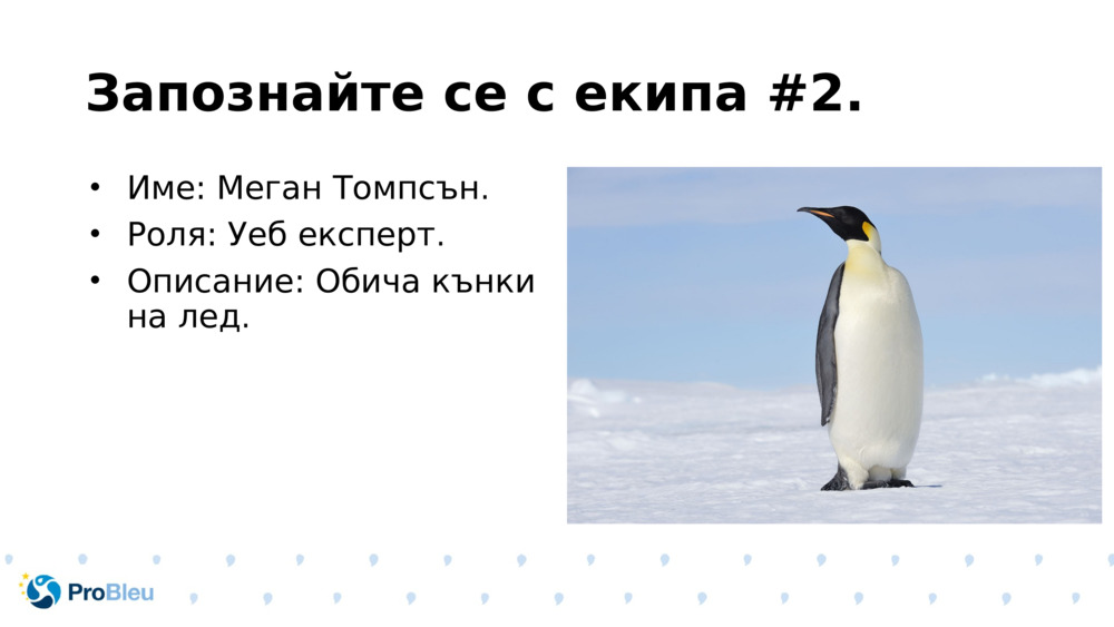 Запознайте се с екипа #2.