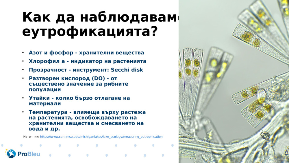 Как да наблюдаваме еутрофикацията?