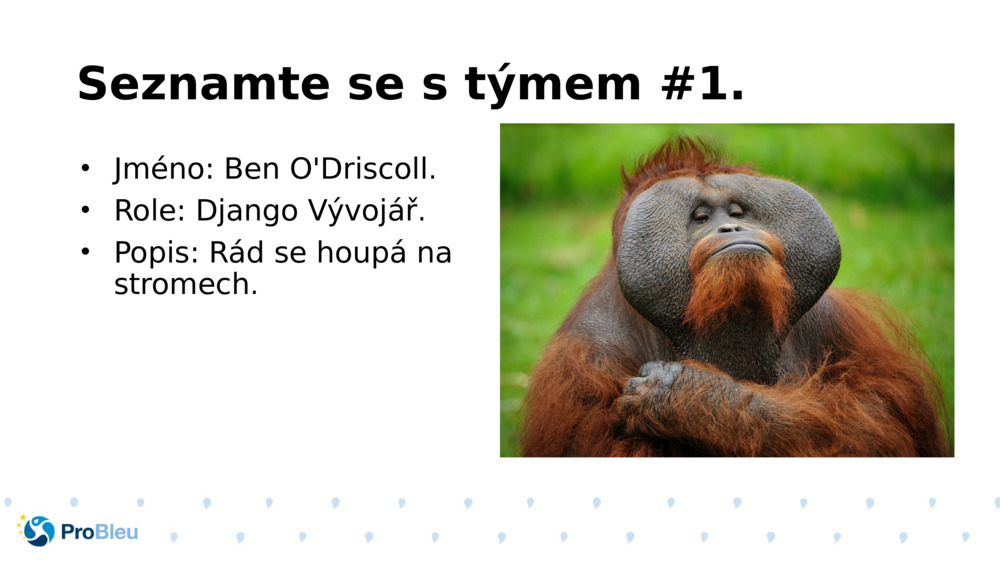 Seznamte se s týmem #1.