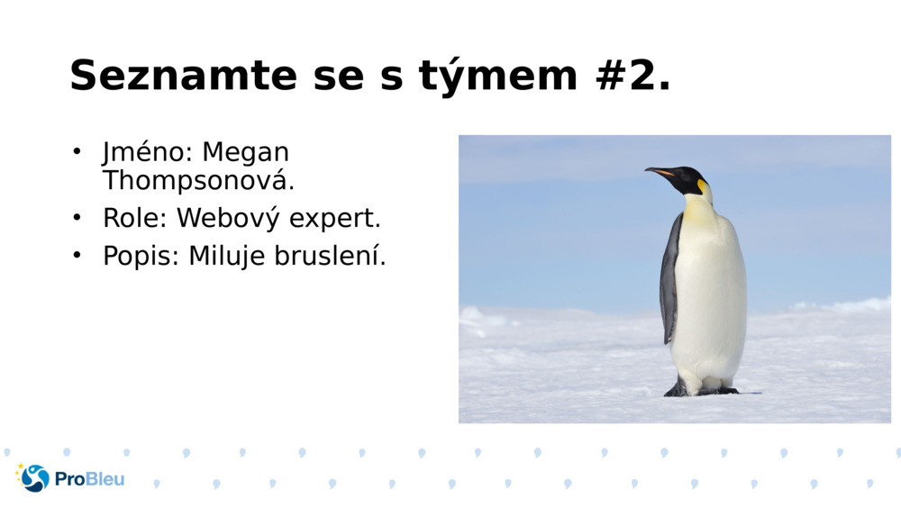 Seznamte se s týmem #2.