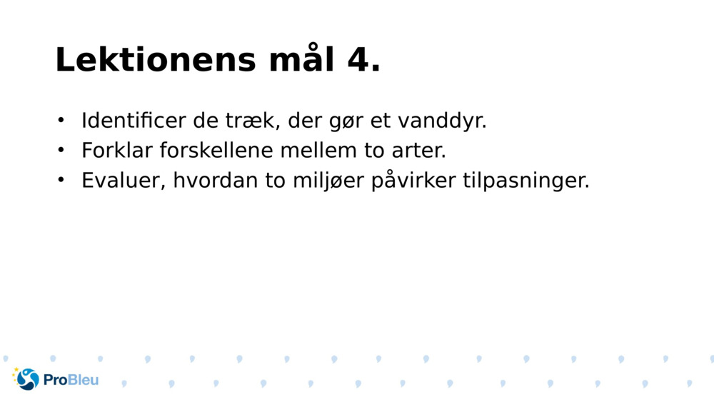 Lektionens mål 4.