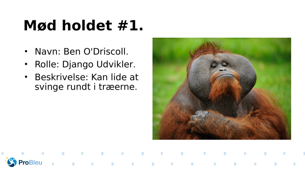 Mød holdet #1.