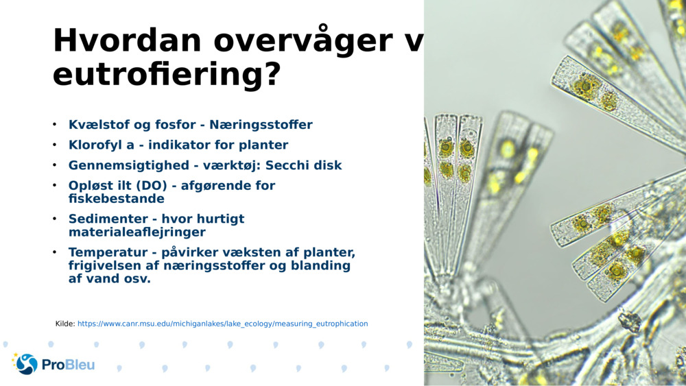 Hvordan overvåger vi eutrofiering?