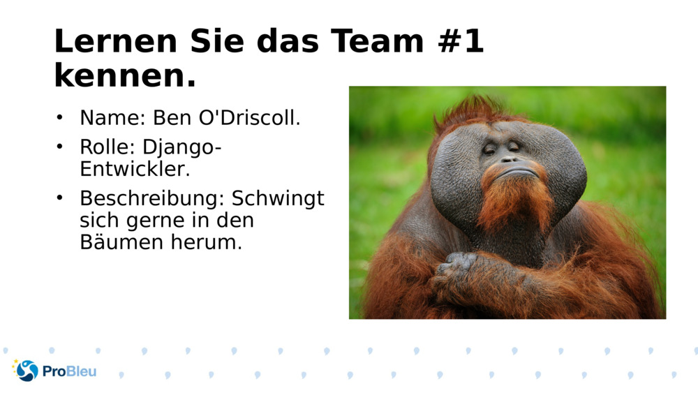 Lernen Sie das Team #1 kennen.