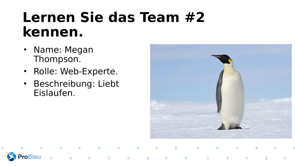 Lernen Sie das Team #2 kennen.