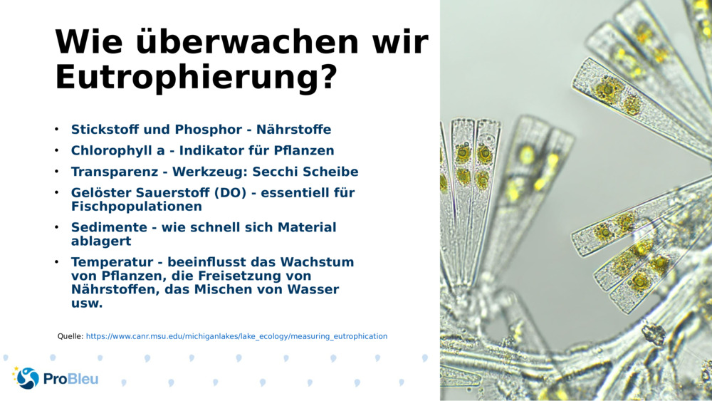 Wie überwachen wir die Eutrophierung?