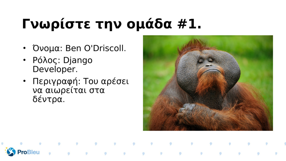 Γνωρίστε την ομάδα #1.