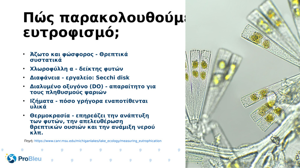 Πώς παρακολουθούμε τον ευτροφισμό;