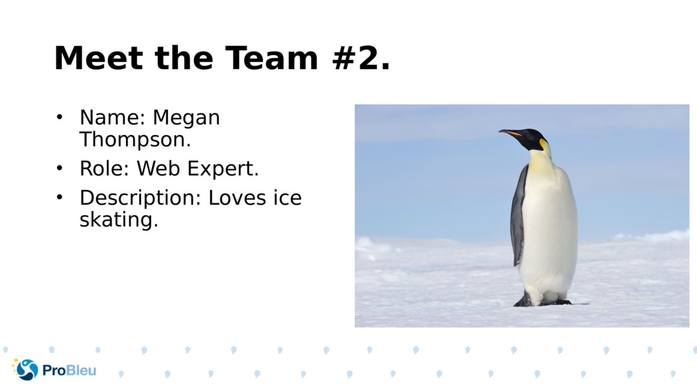 Meet the Team #2.