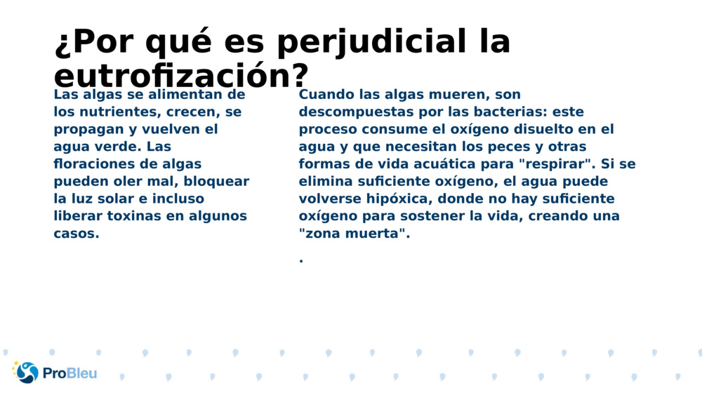 ¿Por qué es perjudicial la eutrofización?