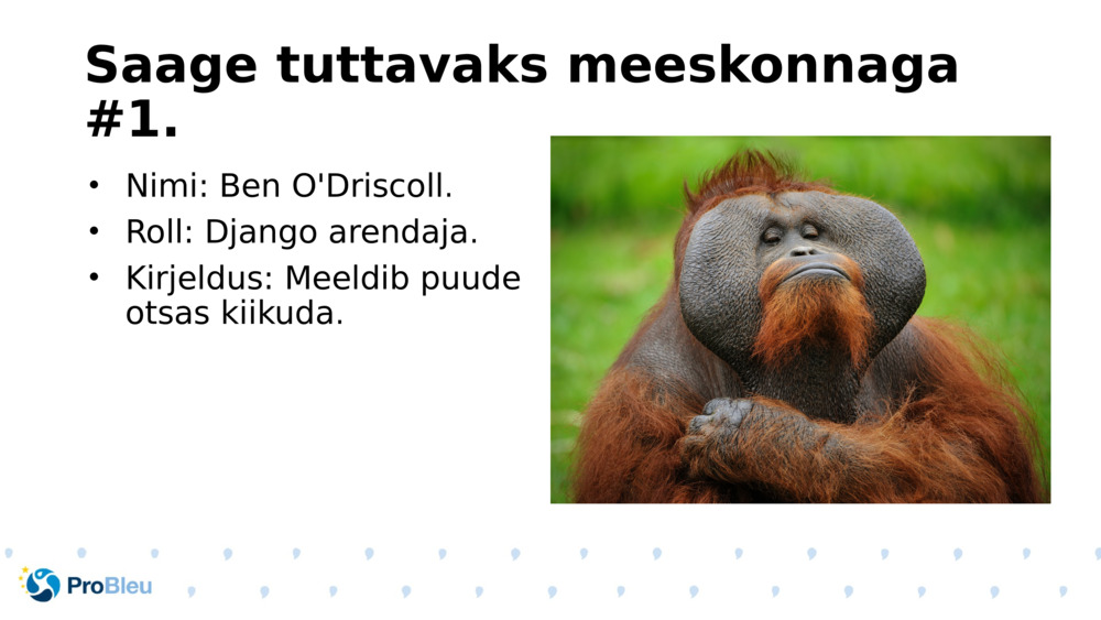 Saage tuttavaks meeskonnaga #1.