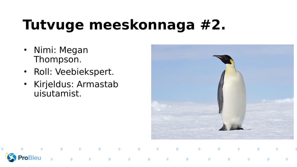 Tutvuge meeskonnaga #2.