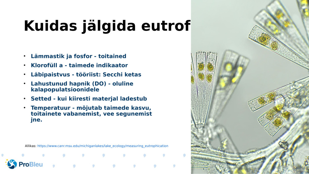 Kuidas jälgida eutrofeerumist?