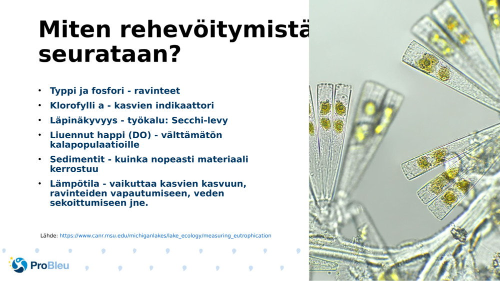 Miten rehevöitymistä seurataan?