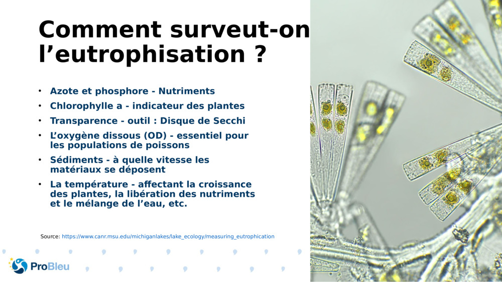 Comment surveut-on l’eutrophisation ?