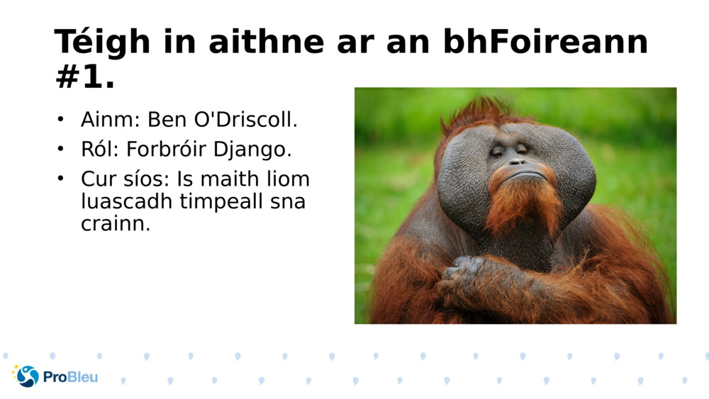 Téigh in aithne ar an bhFoireann #1.