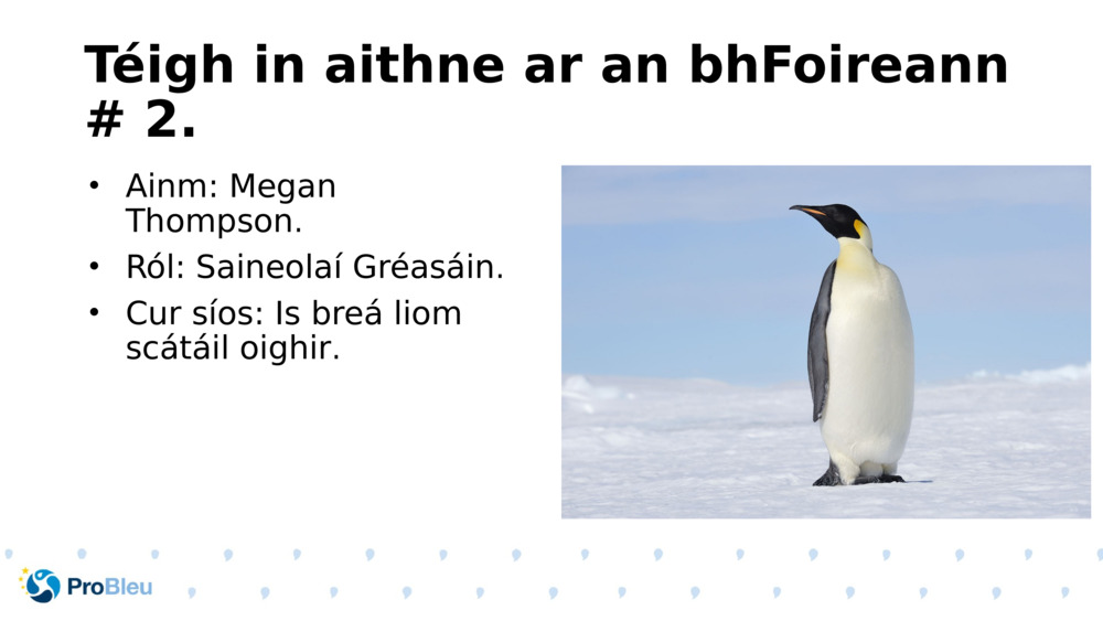 Téigh in aithne ar an bhFoireann # 2.