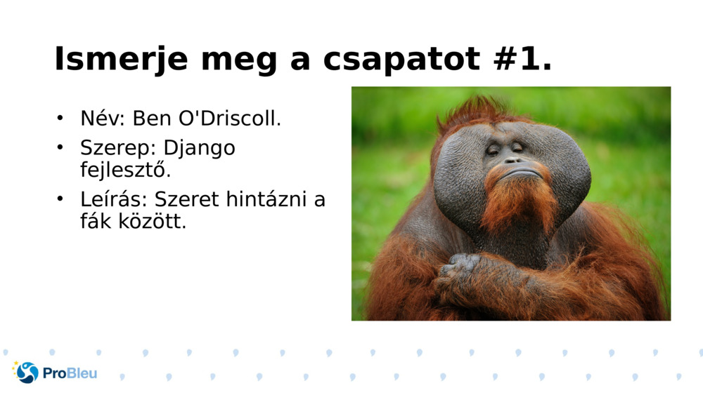 Ismerje meg a csapatot #1.