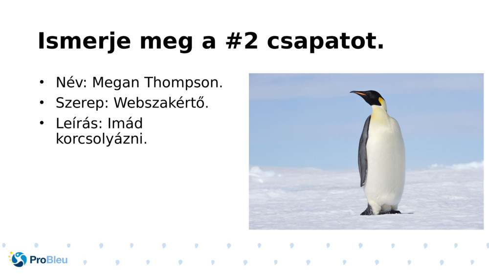 Ismerje meg a #2 csapatot.
