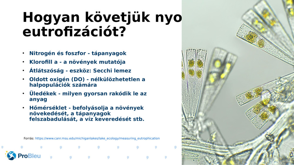 Hogyan követjük nyomon az eutrofizációt?