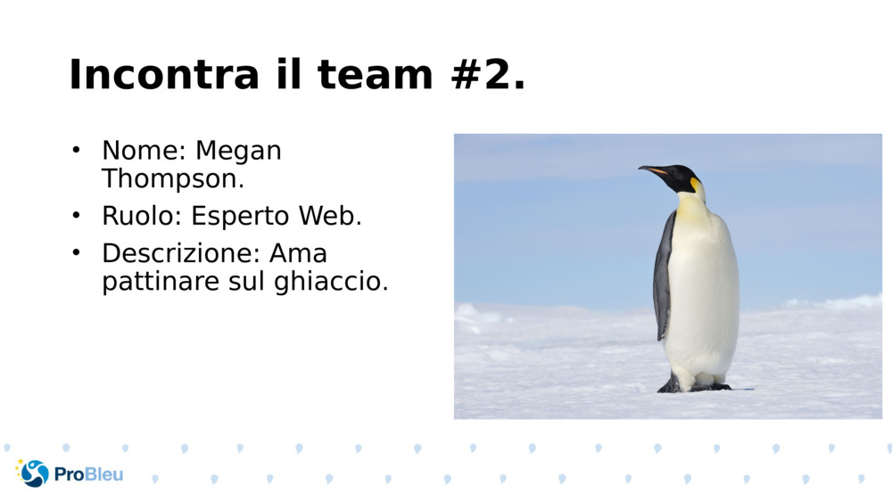 Incontra il team #2.