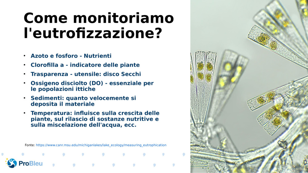 Come monitoriamo l'eutrofizzazione?