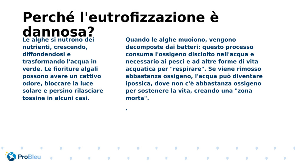 Perché l'eutrofizzazione è dannosa?