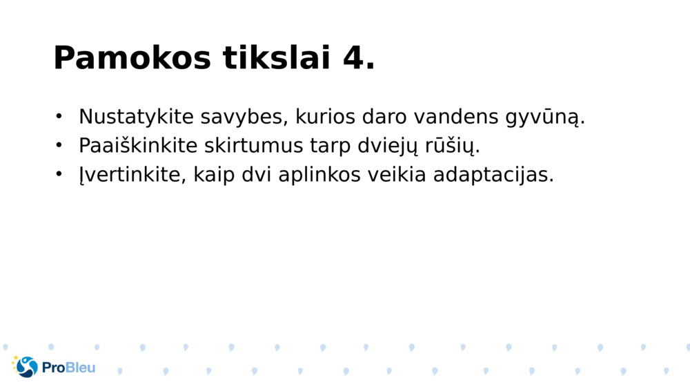 Pamokos tikslai 4.