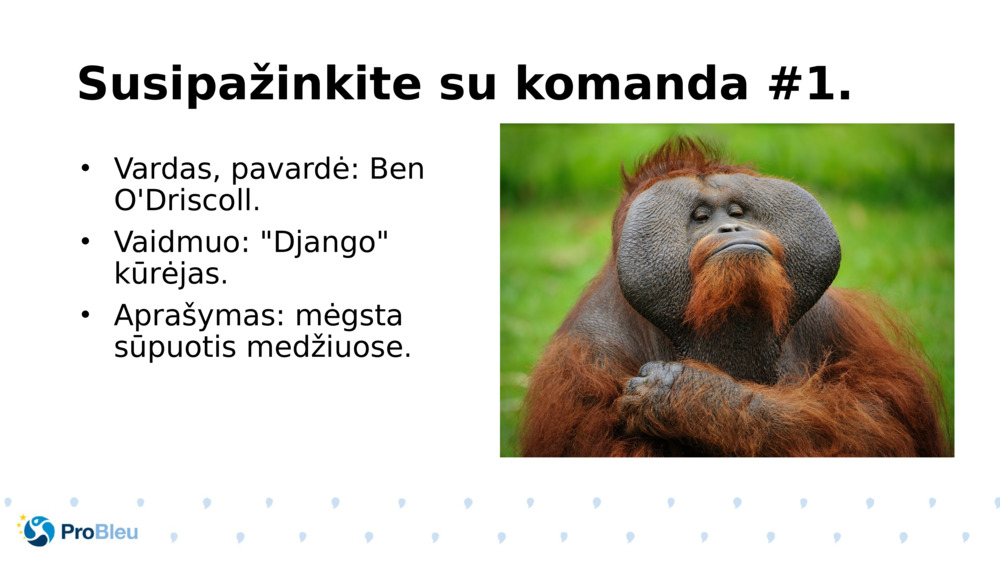 Susipažinkite su komanda #1.