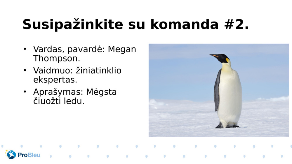 Susipažinkite su komanda #2.