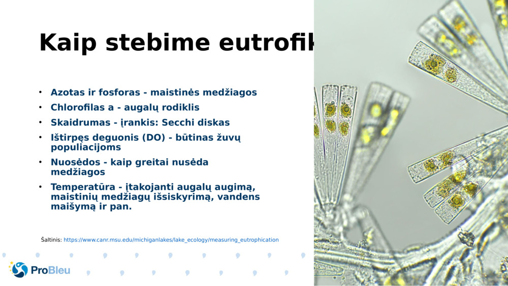 Kaip stebime eutrofikaciją?