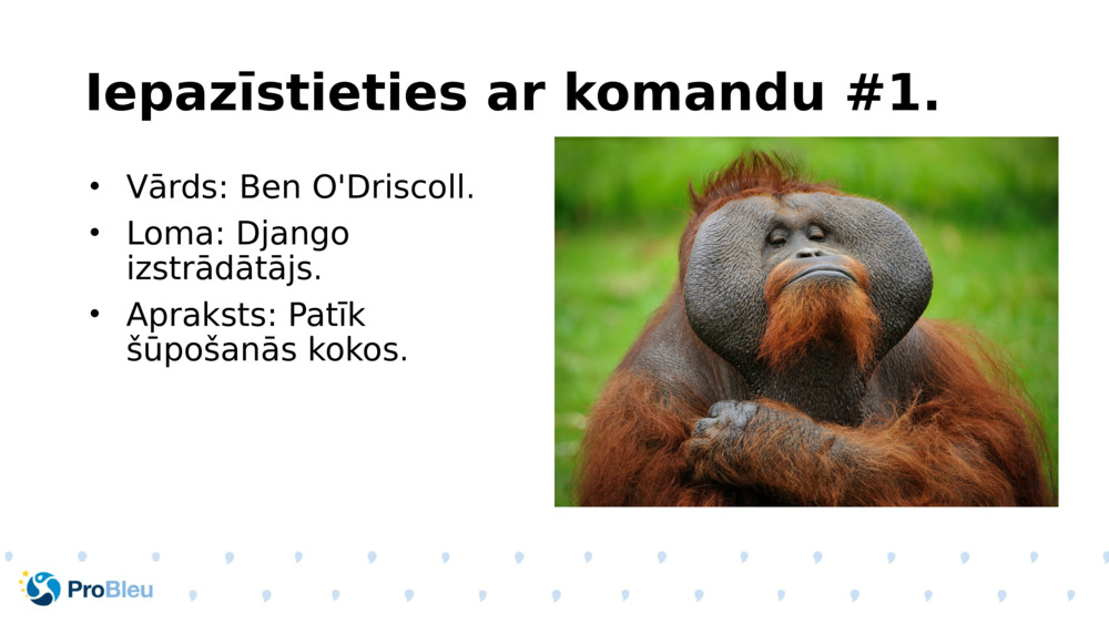 Iepazīstieties ar komandu #1.