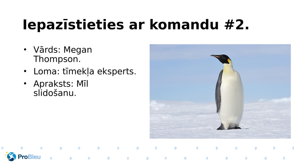 Iepazīstieties ar komandu #2.