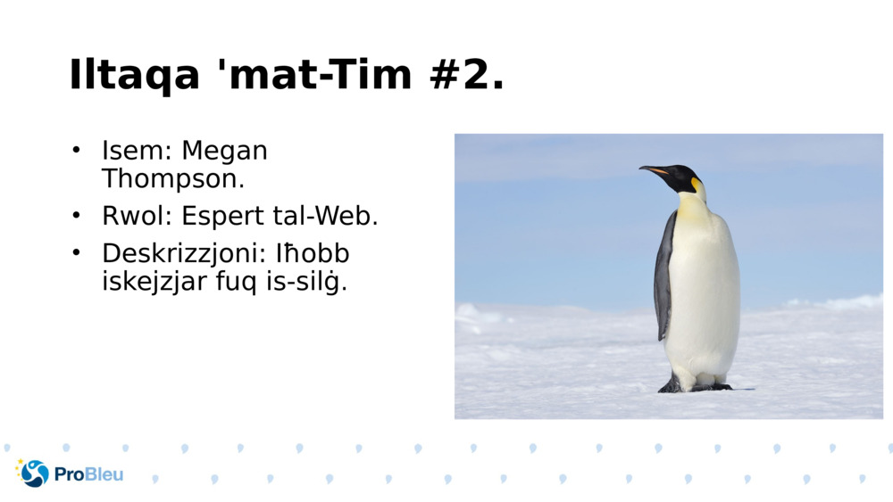 Iltaqa 'mat-Tim #2.