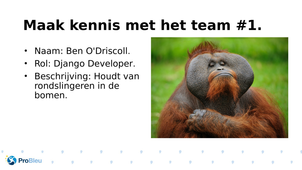 Maak kennis met het team #1.