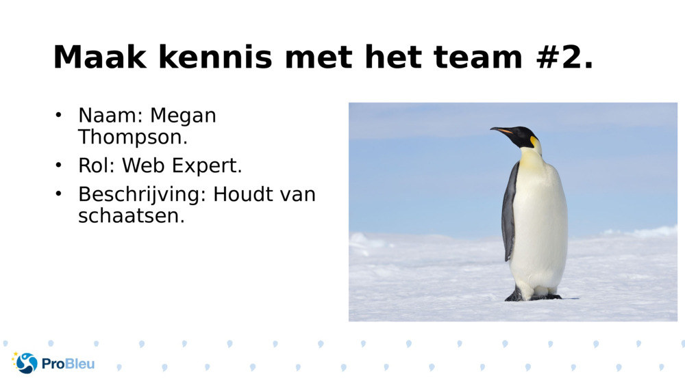 Maak kennis met het team #2.