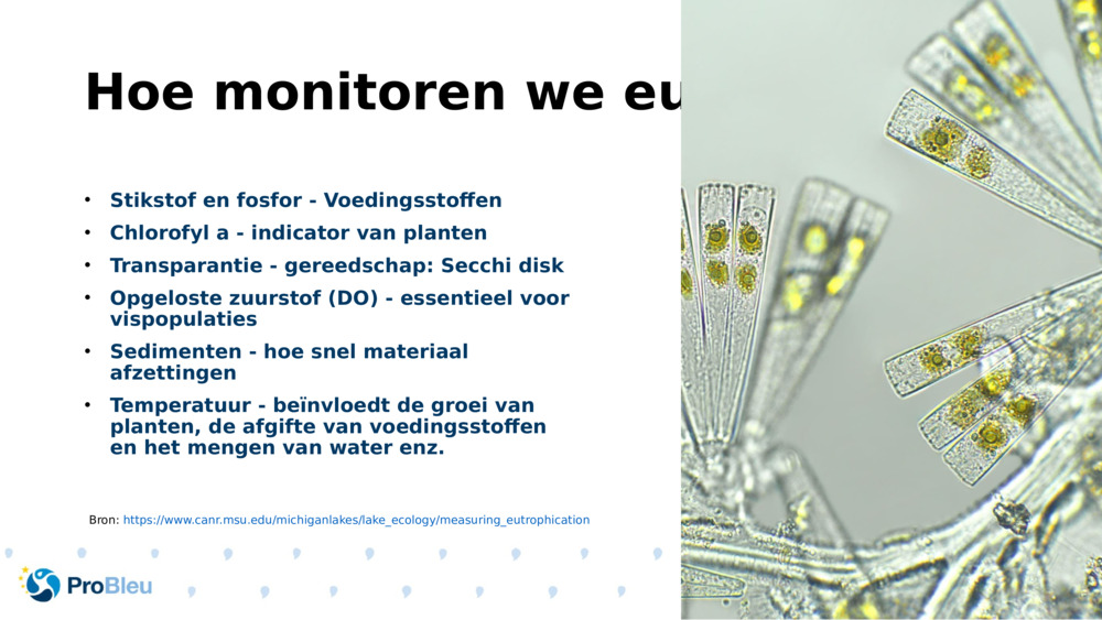 Hoe monitoren we eutrofiëring?