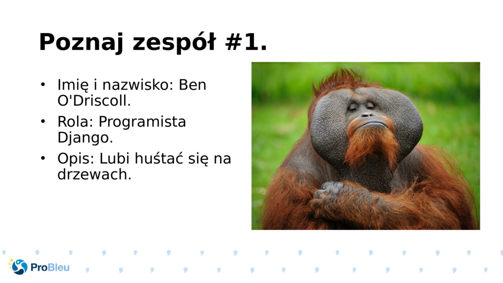 Poznaj zespół #1.