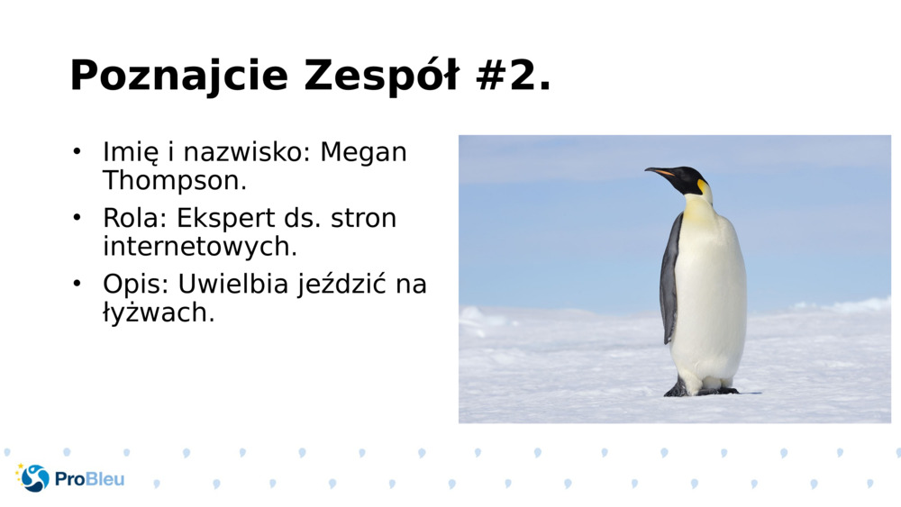 Poznajcie Zespół #2.