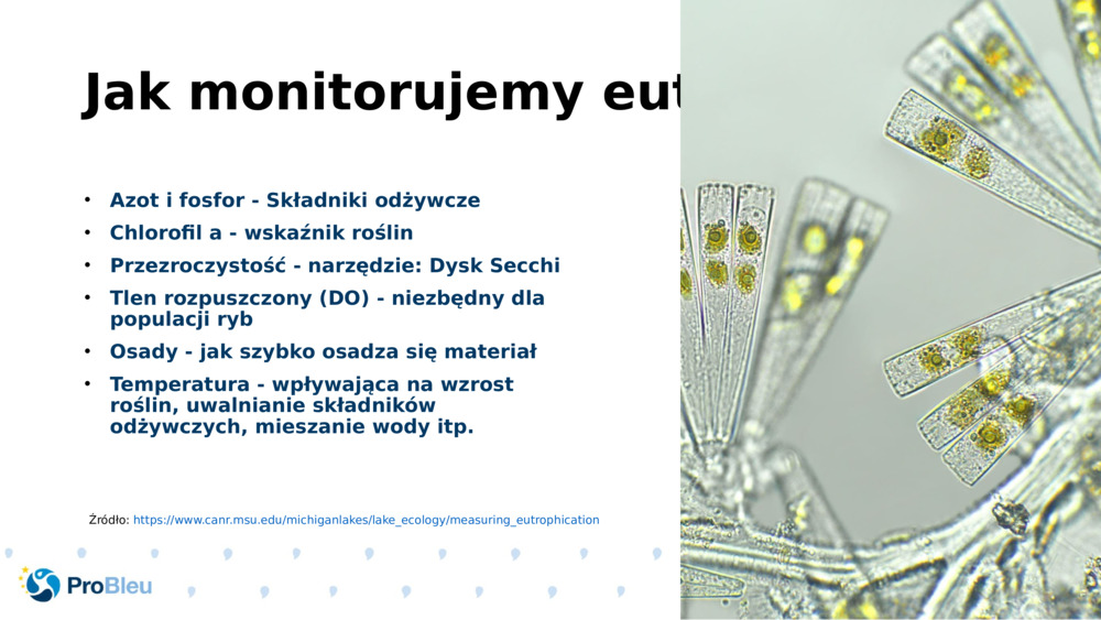 Jak monitorujemy eutrofizację?