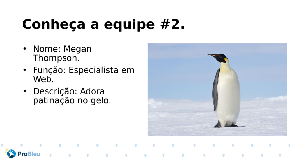 Conheça a equipe #2.