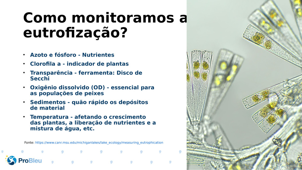 Como monitoramos a eutrofização?