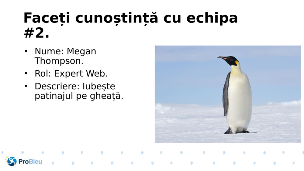 Faceți cunoștință cu echipa #2.