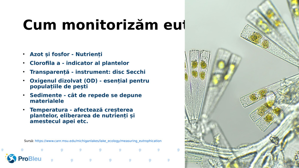 Cum monitorizăm eutrofizarea?