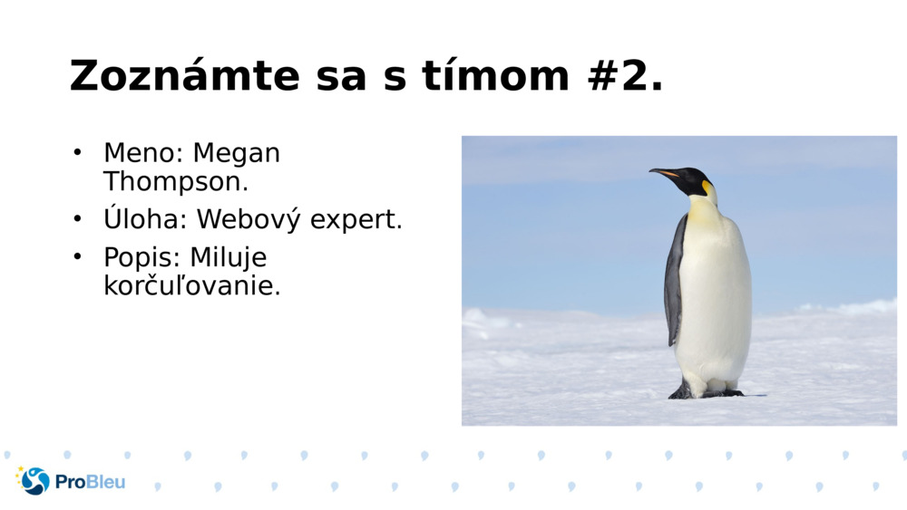 Zoznámte sa s tímom #2.