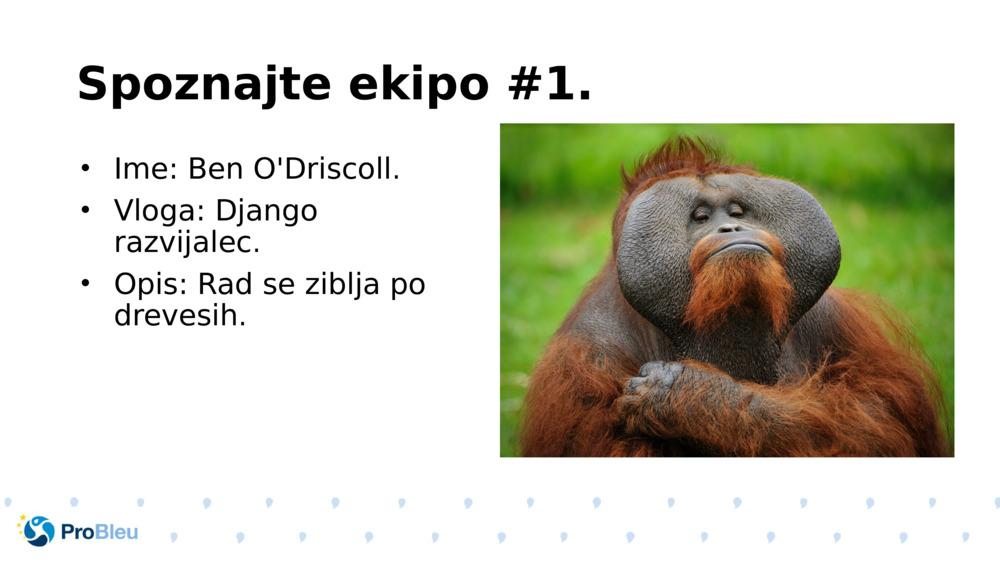 Spoznajte ekipo #1.